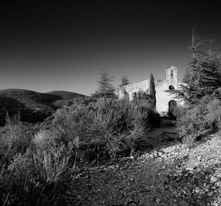 ansel adams